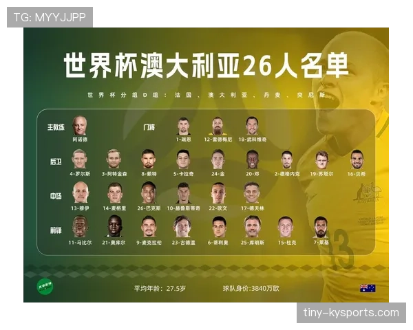 世界杯D组夺冠潜力球队分析